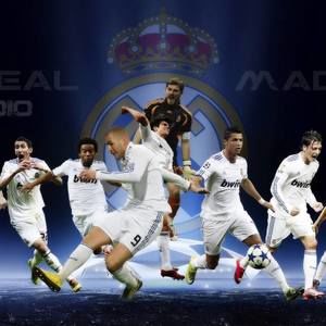 Meet your Posher, Roy